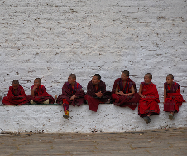 Monks